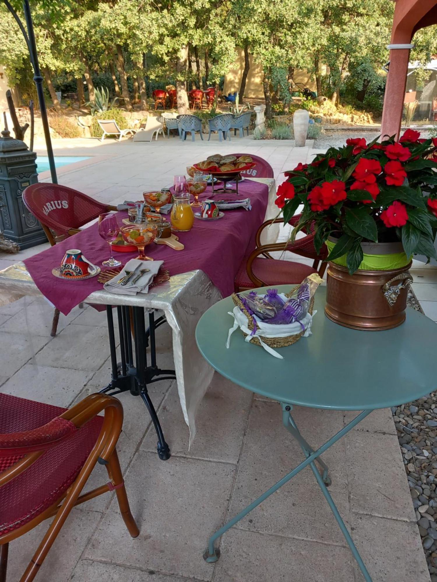 Les Lezards 2 Au Soleil Draguignan Exterior foto